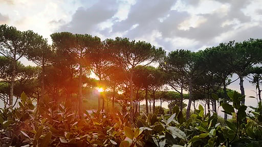 Villa Jasmine Sant’Agata sui Due Golfi Others