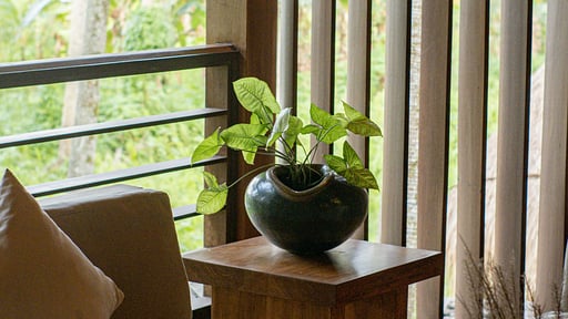Villa Java Otros
