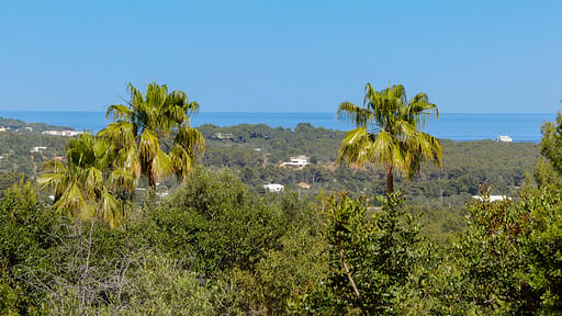 Villa Jengibre Otros