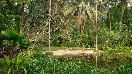Villa Kamaniiya Garden