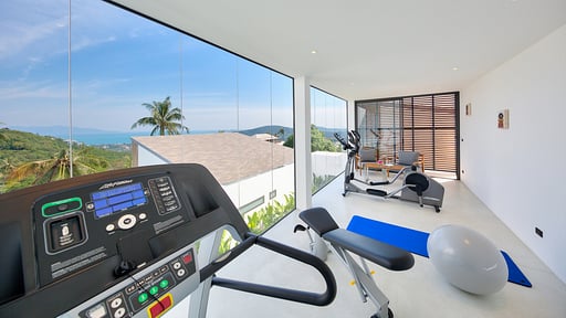 Villa Kamelia Gym