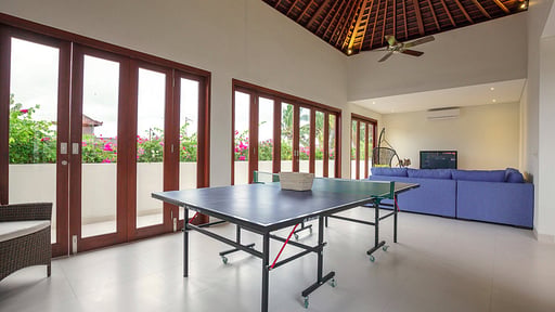 Villa Kashantre Blue Table tennis
