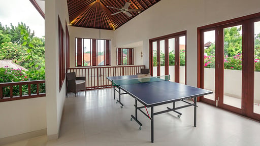 Villa Kashantre Blue Table tennis