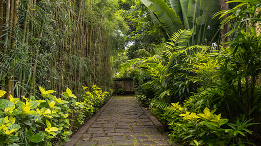 Villa Kayu Merah Сад