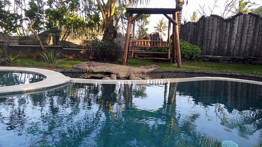 Villa Keong Schwimmbad