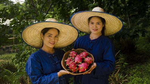 Villa Khum Sak Tong Villa staff