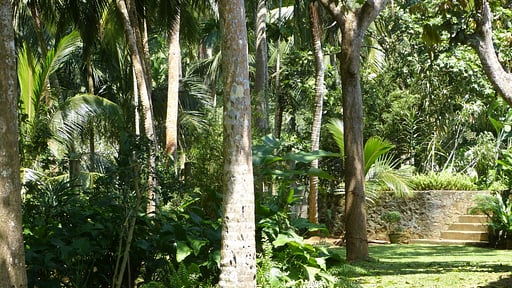 Villa Kimbulagala Watte Others