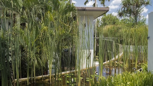Villa Kouru Autres