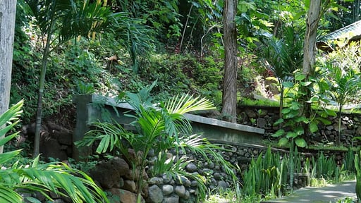Villa Kundalini Ayu Surroundings