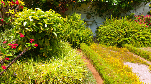 Villa La Belle Creole Garden