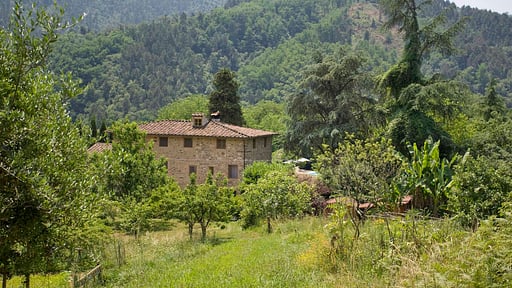 Villa La Cecchella Andere 