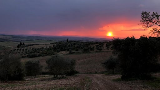 Villa La Corte Di Campalli Surroundings
