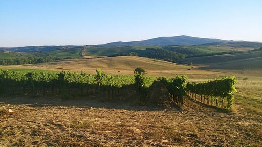 Villa La Corte Di Campalli Surroundings