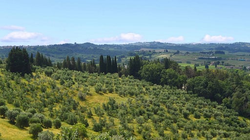 Villa La Corte Di Campalli Surroundings