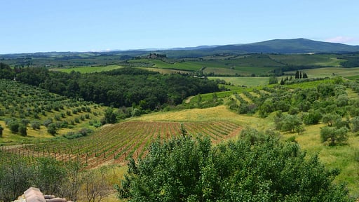 Villa La Corte Di Campalli Surroundings
