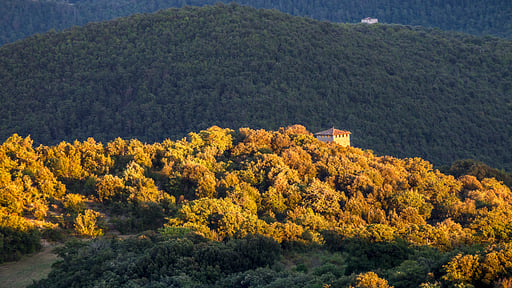 Villa La Macchia Surroundings