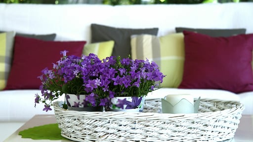 Villa La Picena Others