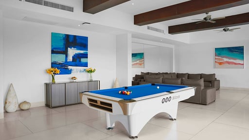 Villa La Prana Biljart