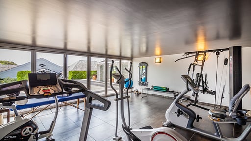 Villa La Vie en Rose Gym