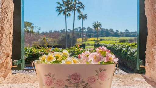 Villa Lafares Autres