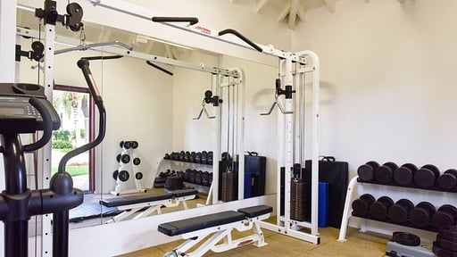 Villa Le Chateau Des Palmiers Gym
