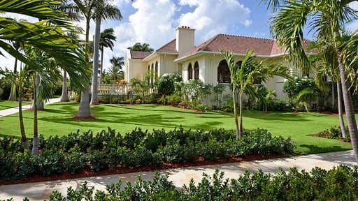 Villa Le Chateau Des Palmiers Garden