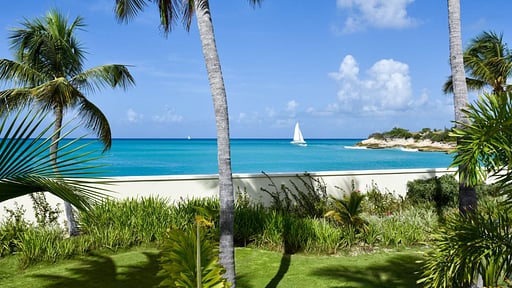 Villa Le Chateau Des Palmiers Surroundings