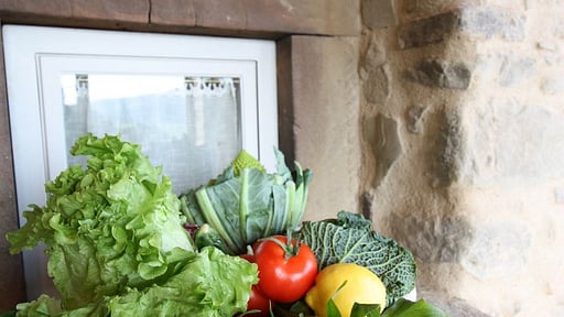 Villa Le Corchie Andere