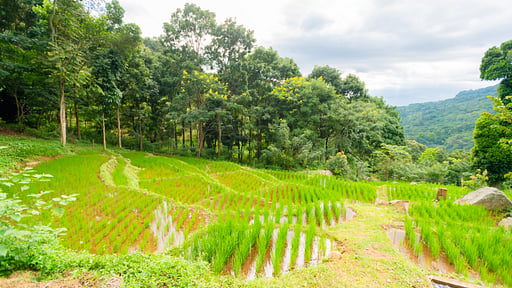 Villa Le Maas Tota Others