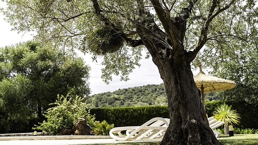 Villa Lexicon Others