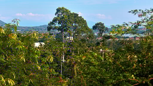 Villa Lilawadee Others