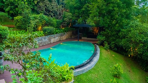 Villa Lily Pod Swimming pool