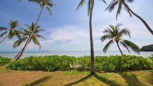 Villa Lipa Talay Haa Сад