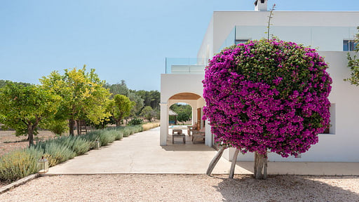 Villa Lorenzo Terrace/Veranda