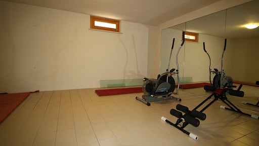 Villa Lu Gym