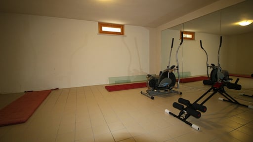 Villa Lu Gym