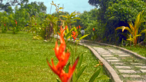 Villa Lumbini Lagoon Garden
