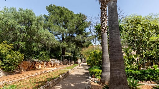 Villa Luminex Сад