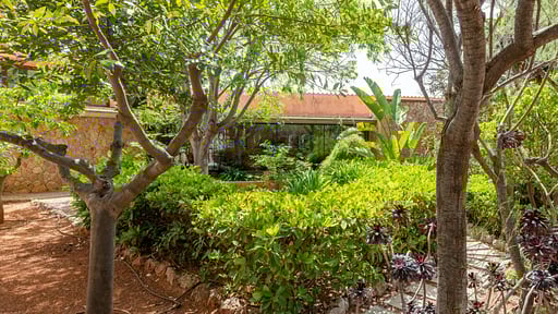 Villa Luminex Сад