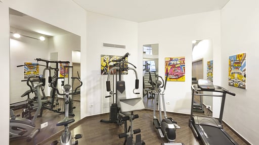 Villa Lux Sorrento Gym