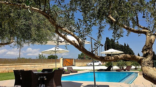 Finca Vinagrella Swimming pool