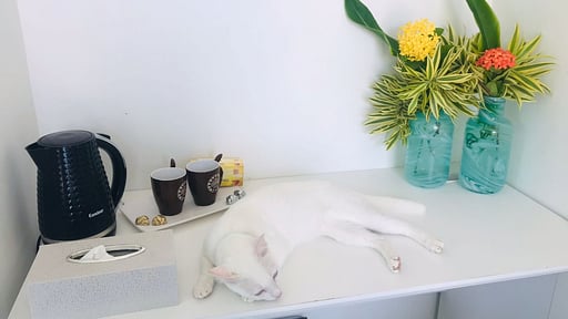 Villa Mai Mee Pan Ha Others