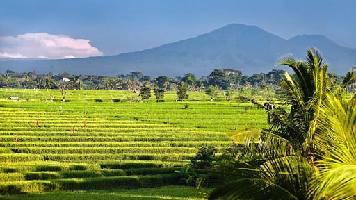 Villa Mana Surroundings