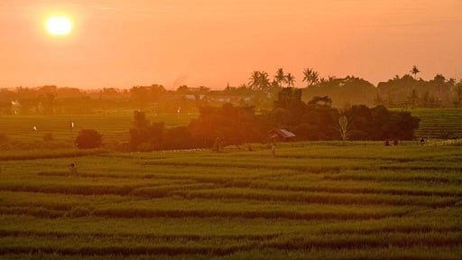 Villa Mana Surroundings