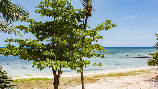 Villa Manta Cove Пляж