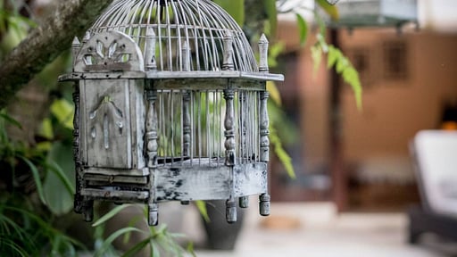 Villa Mara Canggu Others