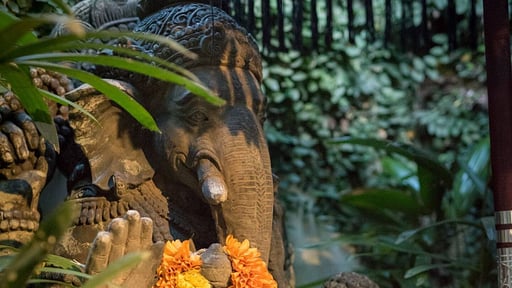 Villa Mara Canggu Others