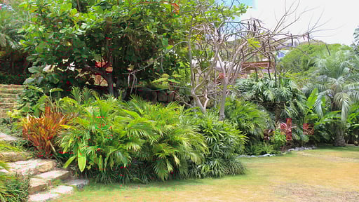 Villa Maracuja Garden