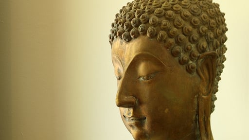 Villa Maria Прочее