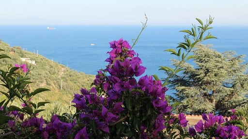 Villa Marianna Others